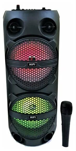 ELEK PARLANTE KARAOKE DOBLE 6.5" RX-6208 MR-920113 (8)