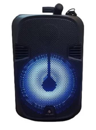 PARLANTE KTS-1202 12" + MICROF + CONTROL MR-120151 (4)