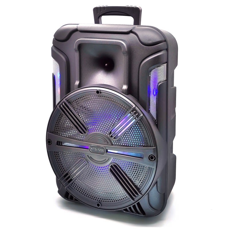 ELEK PARLANTE KTS-1200 12" + MICROF + CONTROL MR-120152 (4)