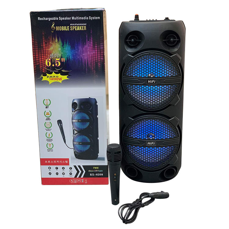 ELEK PARLANTE KARAOKE DOBLE 6.5" RX-6208 MR-920113 (8)